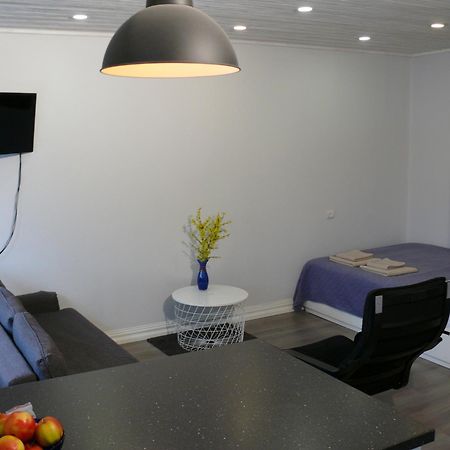 Alytus Ziburio Studio Luaran gambar